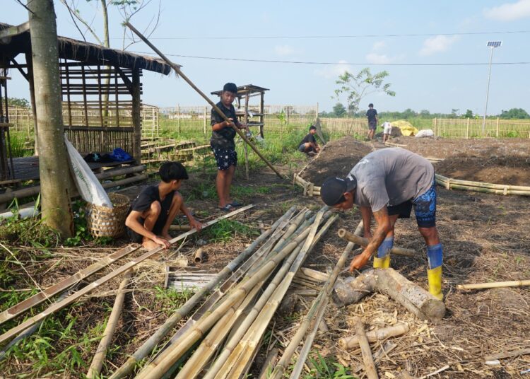 Muksin menyiapkan kebun. MOJOK.CO