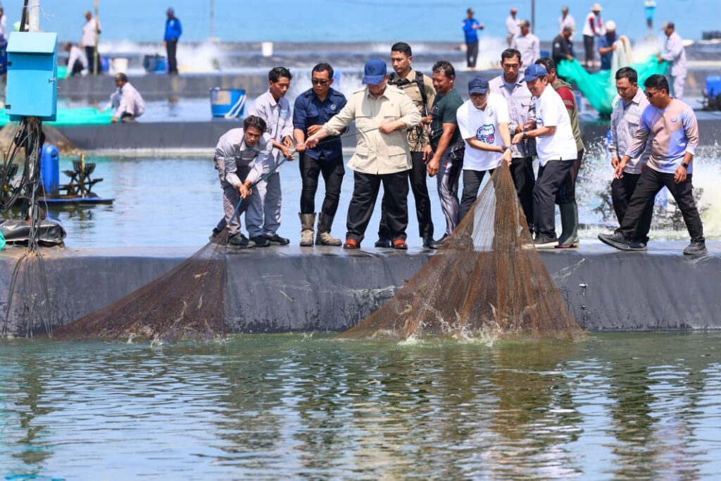 Gubernur Jawa Tengah, Ahmad Luthfi, sebut budidaya udang di Kebumen punya prospek bagus. Presiden Prabowo puji hasil panennya yang melimpah MOJOK.CO