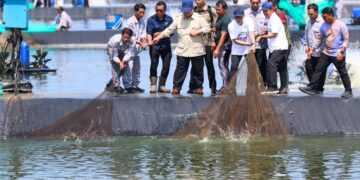 Gubernur Jawa Tengah, Ahmad Luthfi, sebut budidaya udang di Kebumen punya prospek bagus. Presiden Prabowo puji hasil panennya yang melimpah MOJOK.CO