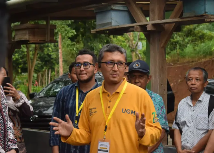 Guru Besar Fakultas Farmasi UGM bidang fitoterapi, Nanang Fakhrudin sebut usaha madu sangat potensial. Tapi ada masalah utama yang rugikan pelaku usaha madu sendiri MOJOK.CO