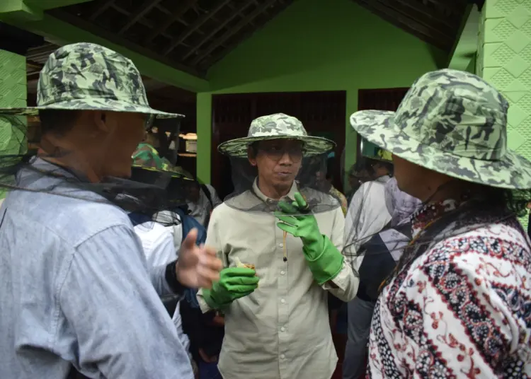 Guru Besar Fakultas Farmasi UGM bidang fitoterapi, Nanang Fakhrudin sebut usaha madu sangat potensial. Tapi ada masalah utama yang rugikan pelaku usaha madu sendiri MOJOK.CO