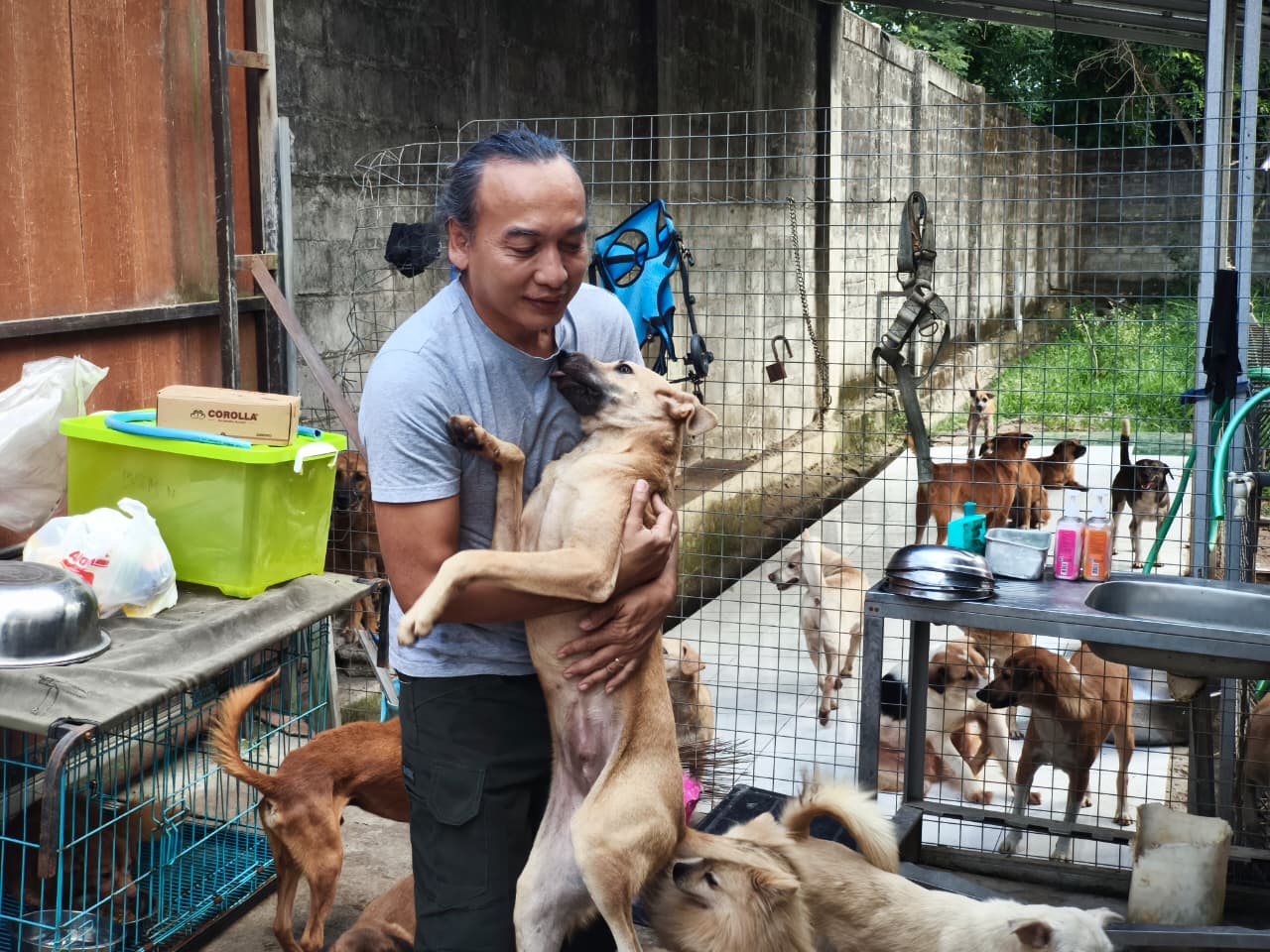 Pelukan hangat Victor ke salah satu anjing di shelter RRDC MOJOK.CO