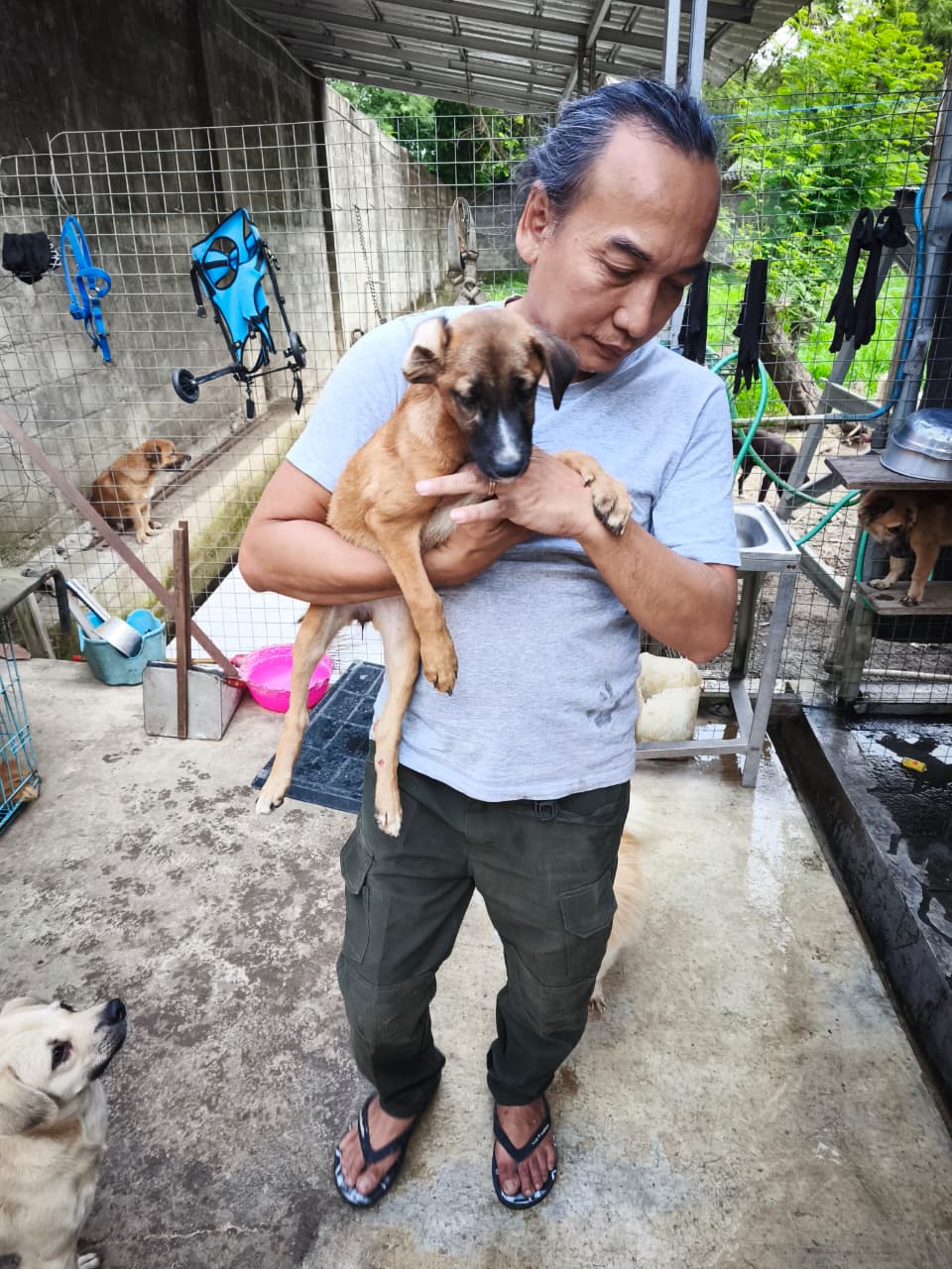 Pelukan hangat Victor ke salah satu anjing di shelter RRDC MOJOK.CO