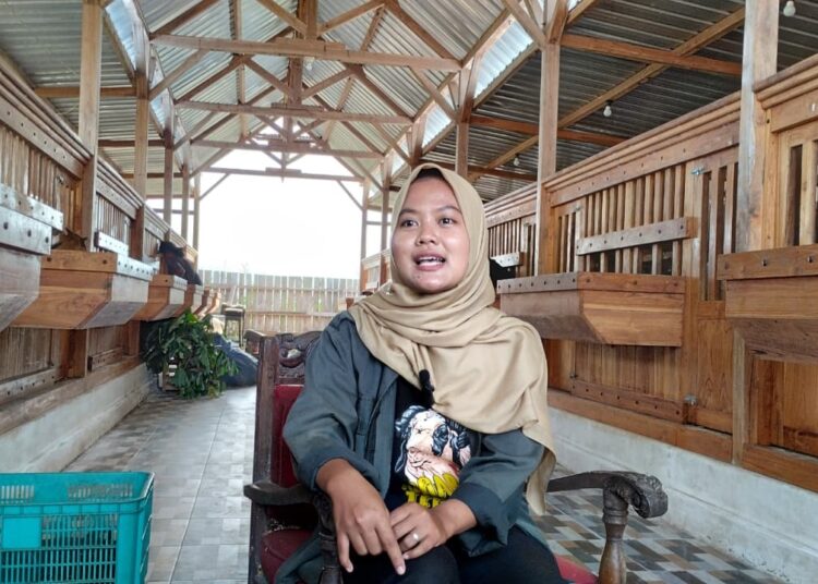 Mila pemilik ternak modern. MOJOK.CO