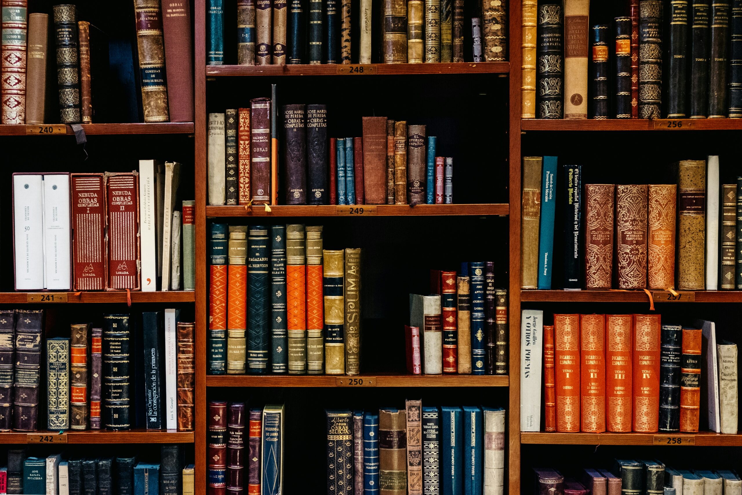 perpustakaan, riset.MOJOK.CO