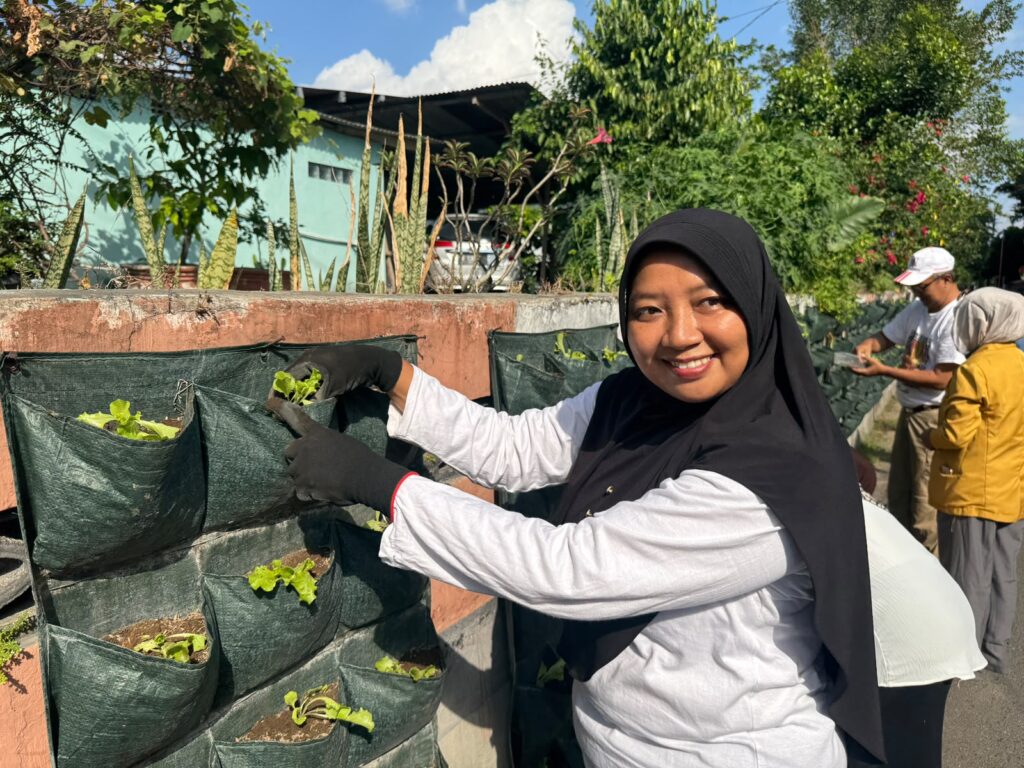 kebun sayur di kota jogja.MOJOK.CO