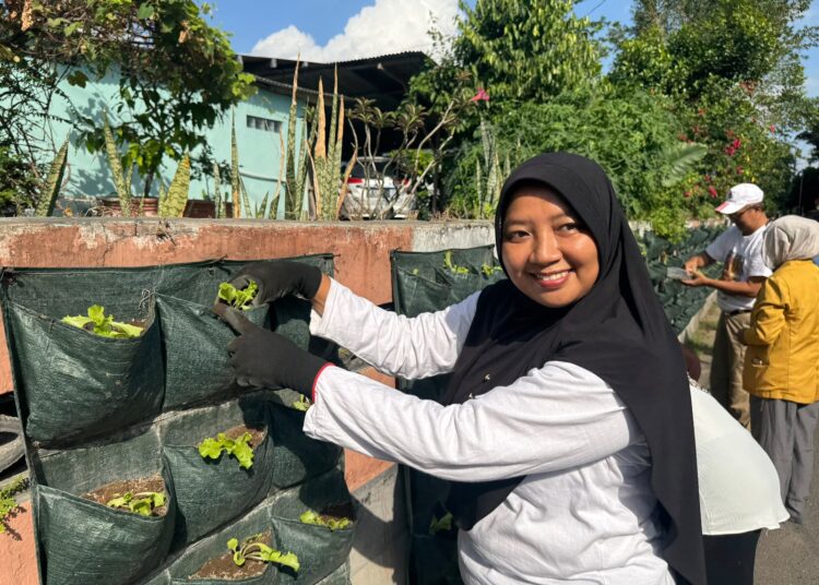kebun sayur di kota jogja.MOJOK.CO