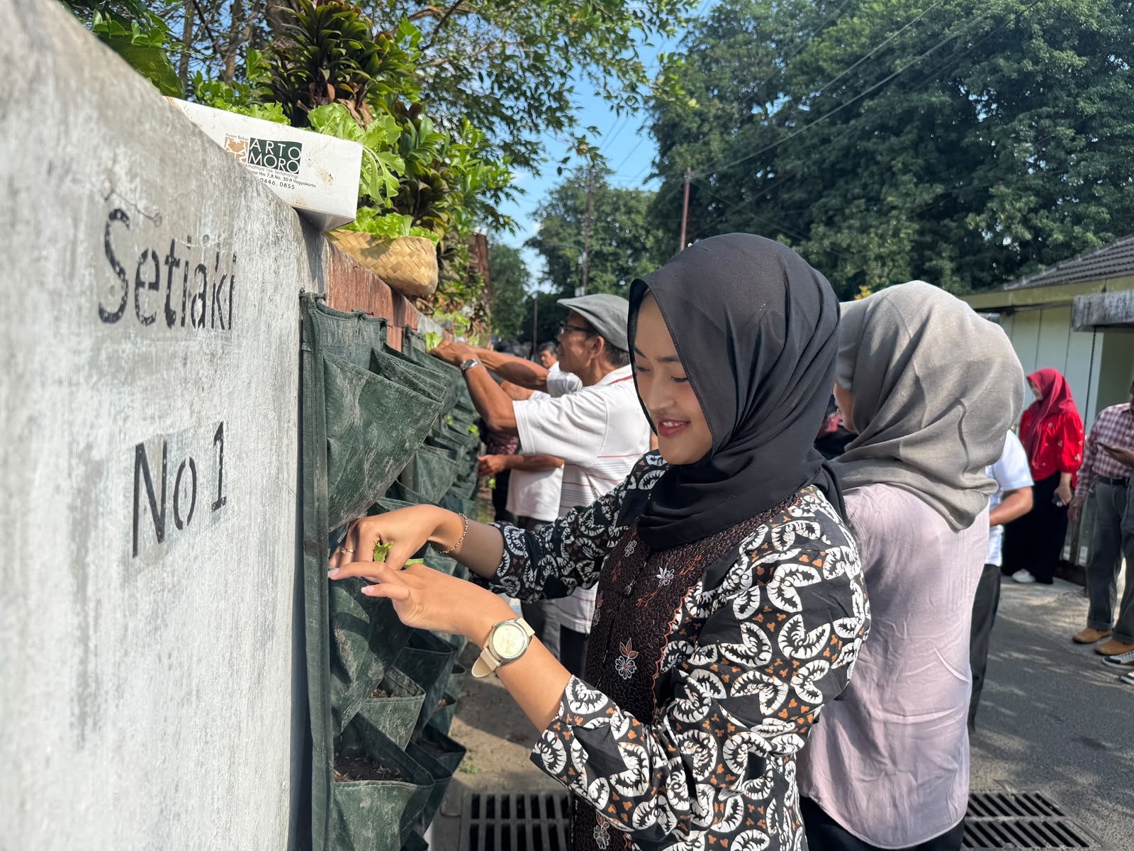 perkebunan di jogja.MOJOK.CO