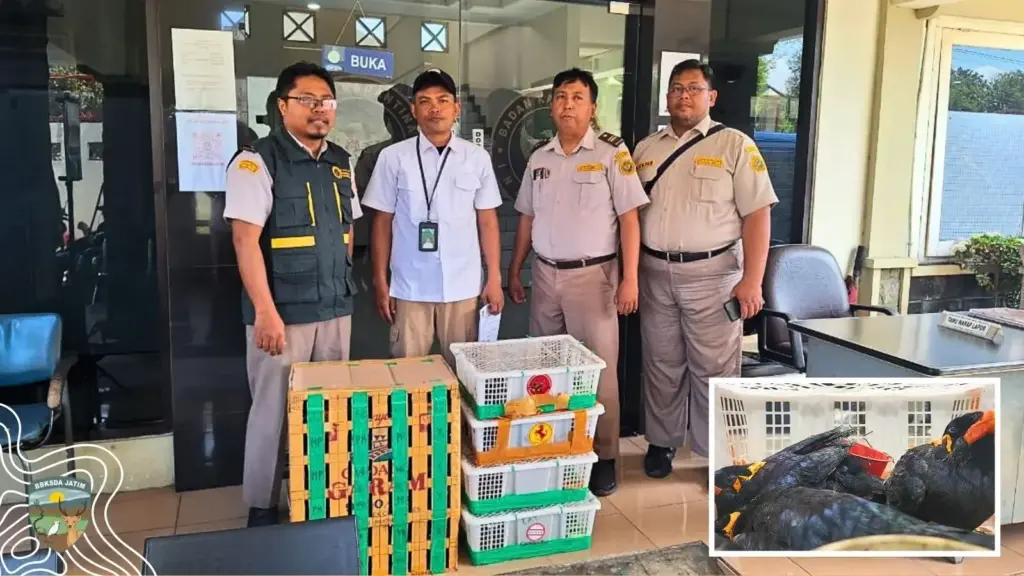 Penggagalan perdagangan ilegal burung di Tanjung Perak Surabaya. Satwa dilindungi dimasukkan boks sampai ada yang mati MOJOK.CO