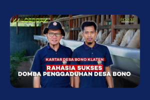 Dari Ternak untuk Desa: Geliat Karang Taruna Bono Menghidupkan Ekonomi Warga