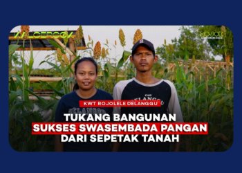 Menguatkan Ketahanan Pangan Keluarga dari Kebun di Klaten
