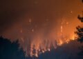 Pelaku pembakaran hutan di Kalimantan dan titik lemah penanganan kebakaran hutan dan lahan (karhutla) di Indonesia MOJOK.CO