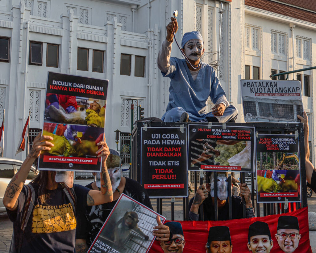 Aksi tolak eskpor monyet ekor panjang di Yogyakarta. MOJOK.CO