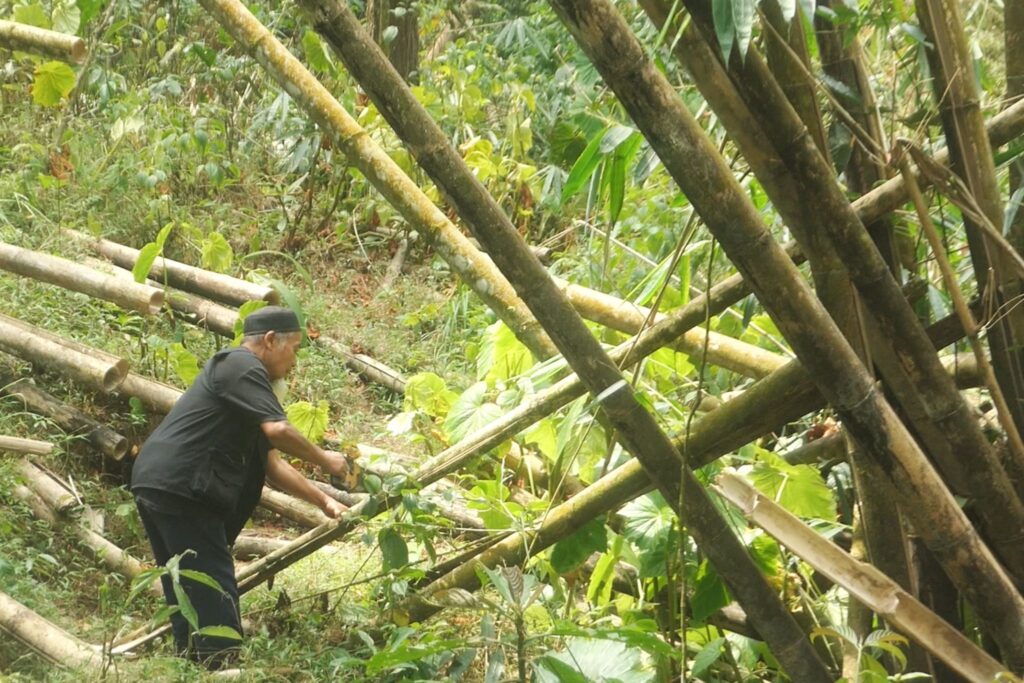 Musimin mendampingi kami menelurusi hutan Bukit Turgo lereng Gunung Merapi. MOJOK.CO
