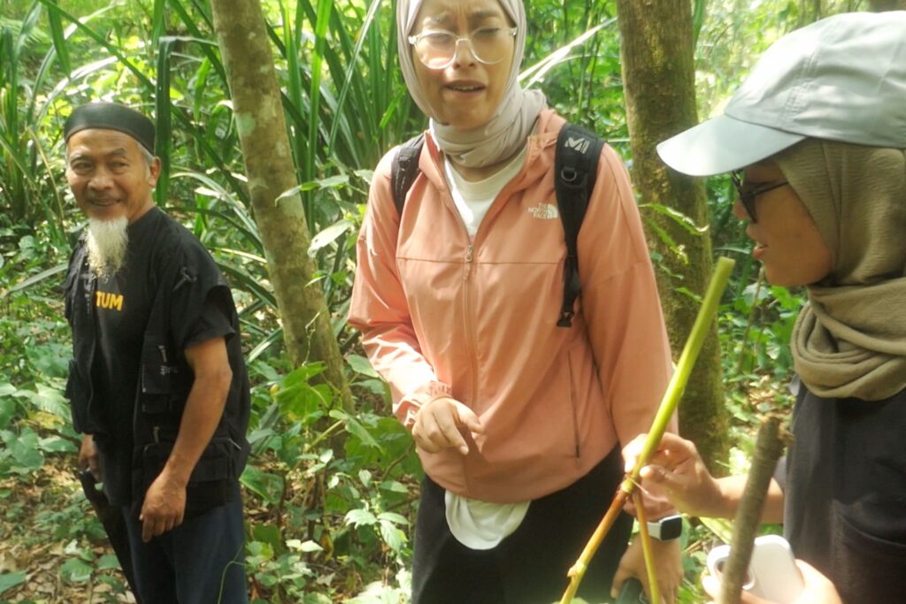 Begonia di hutan Bukit Turgo. MOJOK.CO