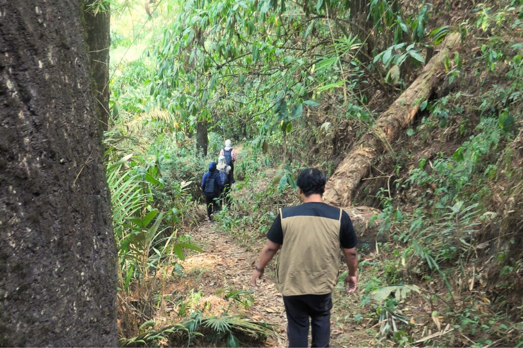 Menelusuri hutan Bukit Turgo. MOJOK.CO
