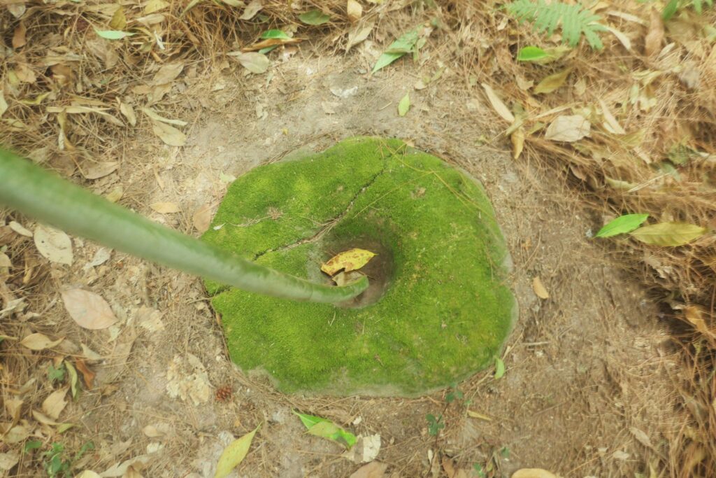 lumpang batu. MOJOK.CO