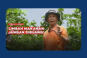Belajar Membenahi Tanah dan Mengolah Limbah Dapur di Corona Garden