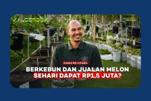 Rejofarm, Cara Anak Muda Melihat Pertanian sebagai Peluang Bisnis