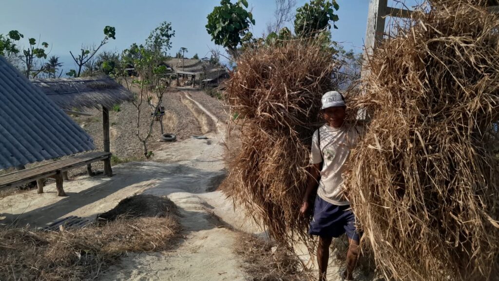 Warlok mengarit. MOJOK.CO
